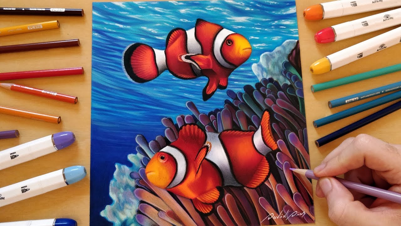 Drawing Clownfishes in the Sea
