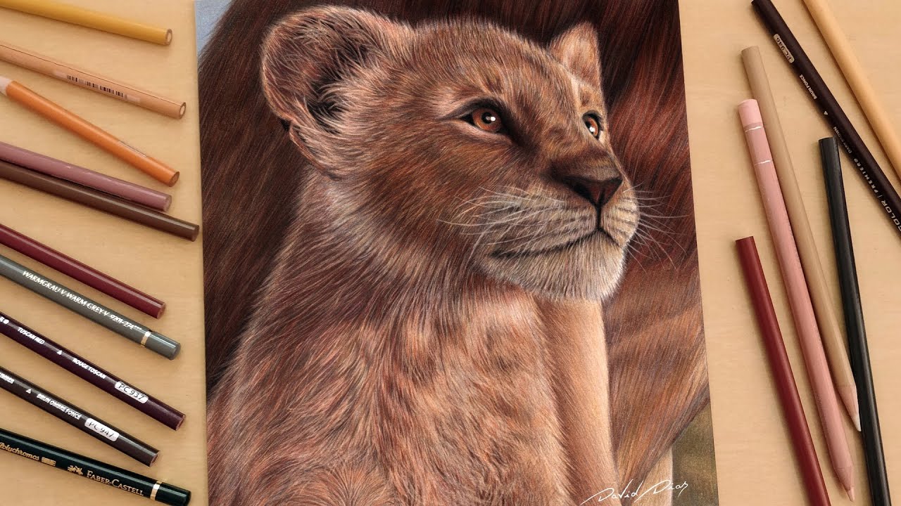Drawing Simba | The Lion King